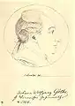 Johann Wolfgang Goethe im grauen Kaputkragen und Haarschleife, Profilzeichnung