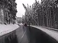 Schneebruch über einer Straße