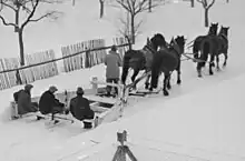 Schneepflug der Gemeinde Gumping bei der Schneeräumung der Straße von Amelsdorf nach Gumping wurde von 4 Pferden der Gemeinde Amelsdorf gezogen