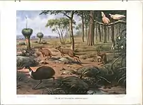 Tiere in ihrer Umgebung – Australien, veröffentlicht 1910–1920, aus der Sammlung des Centre Céramique in Maastricht.