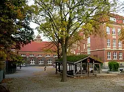 Der neugestaltete Schulhof 2008