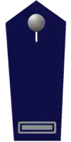 stv. Wehrleiter/-in a. D.