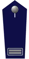 Wehrleiter/-in a. D.