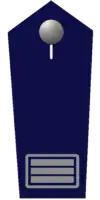 stv. Kreisfeuerwehrinspekteur/-in a. D.
