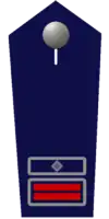 Wehrführer/-in