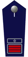 Wehrführer/-in