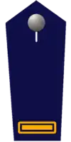 Kreisfeuerwehrinspekteur/-in a. D.