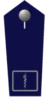 Feuerwehrarzt/-ärztin