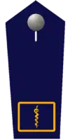 Landesfeuerwehrarzt/-ärztin