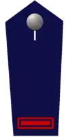 Feuerwehrmann/-frau