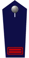 Oberfeuerwehrmann/-frau