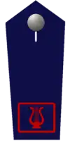Feuerwehrmusiker/-in