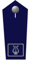 Kreisstabführer/-in