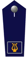 Bezirkstabführer/-in