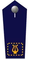 stv. Landesstabführer/-in