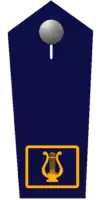 Landesstabführer/-in