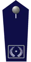 Vorstandsmitglieder Kreis/Stadt