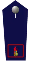 Jugendfeuerwehrwart/-in