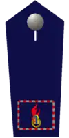 Gemeindejugendfeuerwehrwart/-in