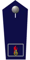 Kreisjugendfeuerwehrwart/-in