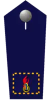 stv. Landesjugendfeuerwehrwart/-in