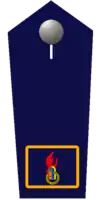 Landesjugendfeuerwehrwart/-in