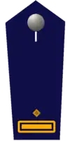 Kreisfeuerwehrinspekteur/-in