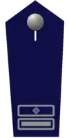 stv. Wehrleiter/-in