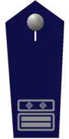 Wehrleiter/-in