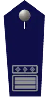 stv. Kreisfeuerwehrinspekteur/-in