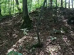 Schuttkegel der Kernburg (Juli&nbsp;2015)