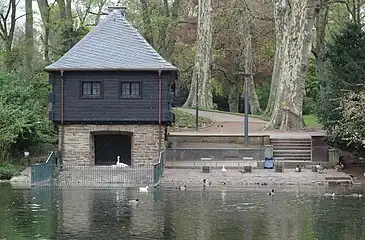 Schwanenhaus (2018)