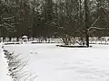 Der Schwanenteich im Winter