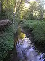 Im Sachsenwald …