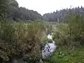 Trocken gefallener Kupfermühlenteich