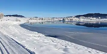 Am Nordufer des Sihlsees