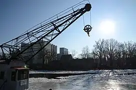 Main-Eisgang an der Böckleinsinsel 2012