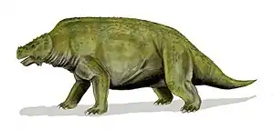 Scutosaurus karpinskii