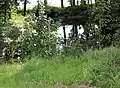 Vom Mühlenbach gespeister Löschwasserteich (im 15. Jahrhundert „Buehlen Poel“ genannt)