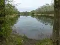 See des Saale-Elster-Kanals bei Wüsteneutzsch