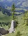 Verlandungsgebiet und Seelealpe vom Gipfel