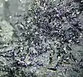 Dunkelgrau glänzende Selenkriställchen in Matrix aus der Absetzerhalde Lichtenberg, Ronneburg (Thüringen), Sichtfeld 5&nbsp;mm