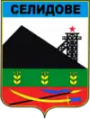 Wappen von Selydowe
