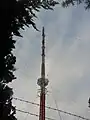 Der Sendemast Hordtberg (Untersicht)