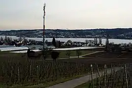 Bild des Objektes