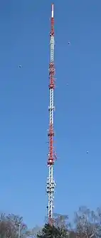 Bild des Objektes