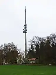 Bild des Objektes