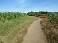 Landwirtschaftliche Nutzung