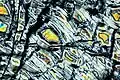 Gelber Olivin in serpentinisiertem Peridotit. Sichtfeld: 2&nbsp;mm.