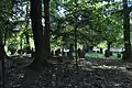 Gräber auf dem Friedhof